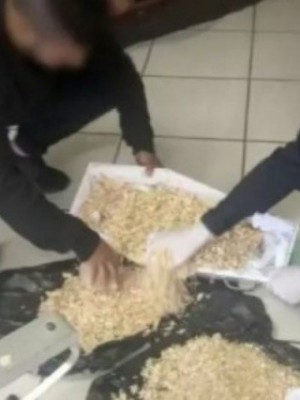 caixao-com-serragem