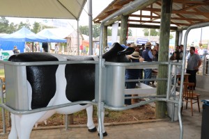 expoagro_2019_bovinos_de_leite_(2)