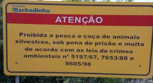 ccbdb8c8847fe7c5eb2d06dad7b006a2