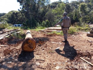 ambiental machadinho 1