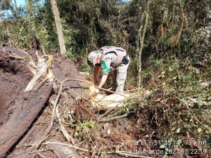 ambiental machadinho 2