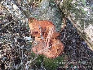 ambiental machadinho 3