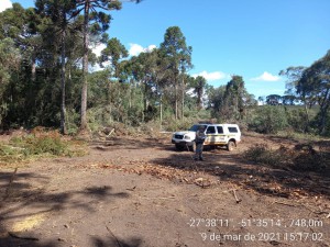 ambiental machadinho 4