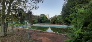 piscina 3