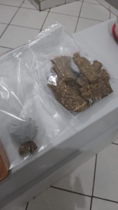 maconha 1
