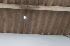 WhatsApp Image 2022-06-23 at 14.42.12