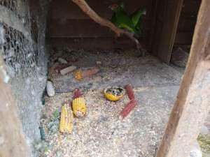 WhatsApp Image 2023-03-14 at 21.37.18