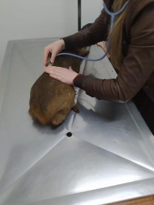 WhatsApp Image 2023-07-20 at 00.34.35 (1)