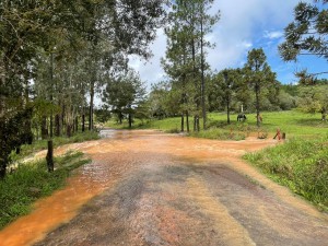 WhatsApp Image 2023-10-04 at 13.54.36