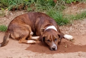 1f5533dd-1583-437c-893d-0c7044a8e1a7