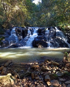 447291396_495972592784027_5538396719861092191_n