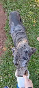 WhatsApp Image 2024-07-10 at 15.43.34