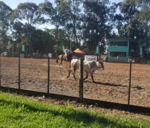 WhatsApp Image 2024-10-18 at 14.15.05 (1)