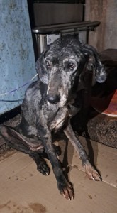 WhatsApp Image 2025-01-15 at 14.21.32