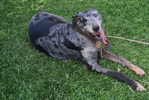 WhatsApp Image 2025-01-15 at 14.33.12