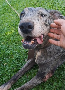 WhatsApp Image 2025-01-15 at 14.35.22 (1)