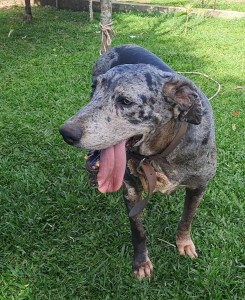 WhatsApp Image 2025-01-15 at 14.35.22