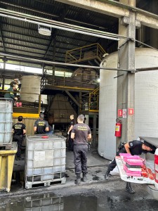 WhatsApp Image 2025-01-16 at 09.58.43 (3)