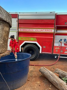 Imagem do WhatsApp de 2025-02-12 à(s) 12.11.22_81fb66c4