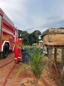 Imagem do WhatsApp de 2025-02-12 à(s) 12.11.22_9bddfb29