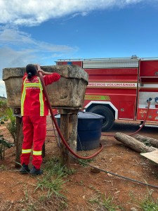 Imagem do WhatsApp de 2025-02-12 à(s) 12.11.23_39409d3f