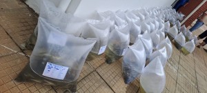 Imagem do WhatsApp de 2025-02-19 à(s) 14.57.25_11189853