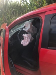 WhatsApp Image 2025-02-09 at 21.55.00