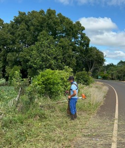 WhatsApp-Image-2025-03-11-at-10.52.30-1-scaled