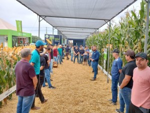 WhatsApp Image 2025-03-17 at 15.58.37 (1)