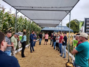 WhatsApp Image 2025-03-17 at 15.58.37 (2)