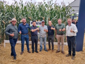 WhatsApp Image 2025-03-17 at 15.58.38 (1)