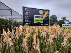 WhatsApp Image 2025-03-17 at 15.58.38