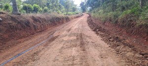 WhatsApp Image 2025-03-18 at 16.36.04