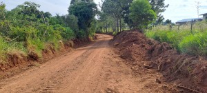 WhatsApp Image 2025-03-18 at 16.36.22