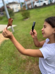 WhatsApp Image 2025-03-25 at 13.50.29 (1)