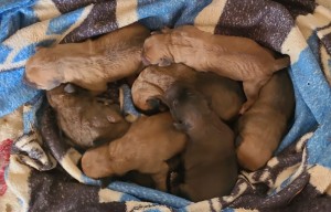 WhatsApp Image 2025-03-25 at 15.06.53