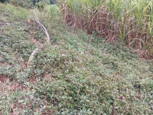 WhatsApp-Image-2025-04-03-at-14.44.09-1