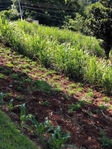 WhatsApp-Image-2025-04-03-at-14.44.11