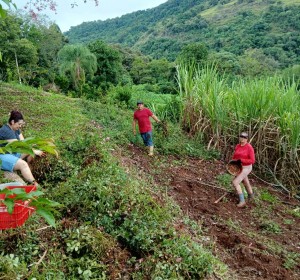 WhatsApp-Image-2025-04-03-at-14.44.32-3