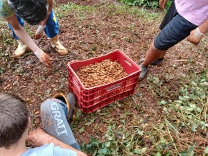 WhatsApp-Image-2025-04-03-at-14.44.32