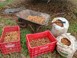 WhatsApp-Image-2025-04-03-at-14.44.33-1