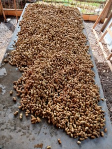 WhatsApp-Image-2025-04-03-at-14.44.33-3