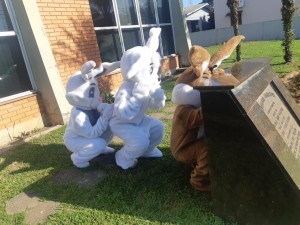 WhatsApp Image 2025-04-22 at 10.18.56 (2)