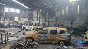 56539488568271623085be1.13099692