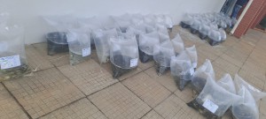 WhatsApp Image 2025-05-08 at 09.36.07