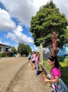 WhatsApp Image 2025-05-12 at 15.14.27