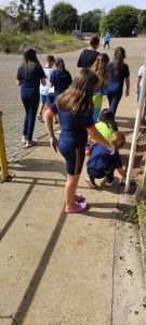 WhatsApp Image 2025-05-15 at 14.28.29