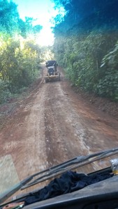 WhatsApp Image 2025-05-19 at 15.18.06