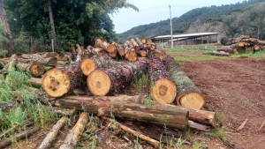 WhatsApp Image 2025-10-03 at 10.54.00