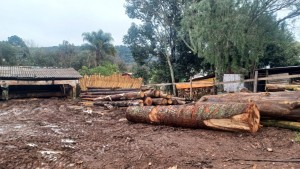 WhatsApp Image 2025-10-03 at 10.54.01 (1)